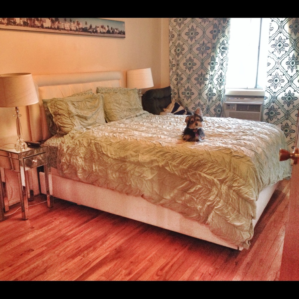 ANTHROPOLOGIE Curtains (2 panels)